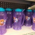 Permalink to: The Best Dollar Tree Disney Souvenirs to Buy BEFORE your Trip