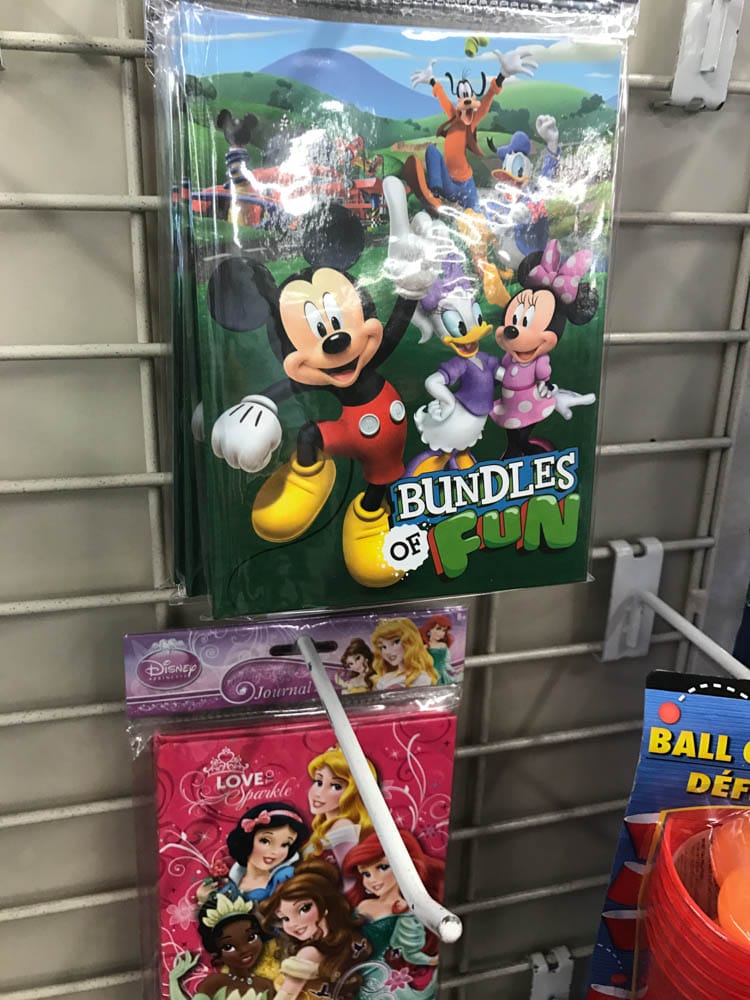 Disney World Souvenirs to Buy Before You Go - Thrifty Jinxy