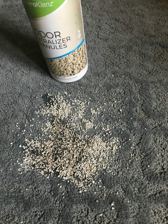 How to Clean Throw Up Out of Carpet Naturally (Including the Smell!) 2024 Clarks Condensed