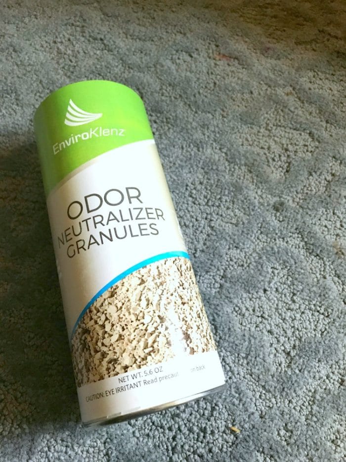How to Clean Throw Up Out of Carpet Naturally (Including the Smell