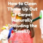 Permalink to: How to Clean Throw Up Out of Carpet Naturally (Including the Smell!)