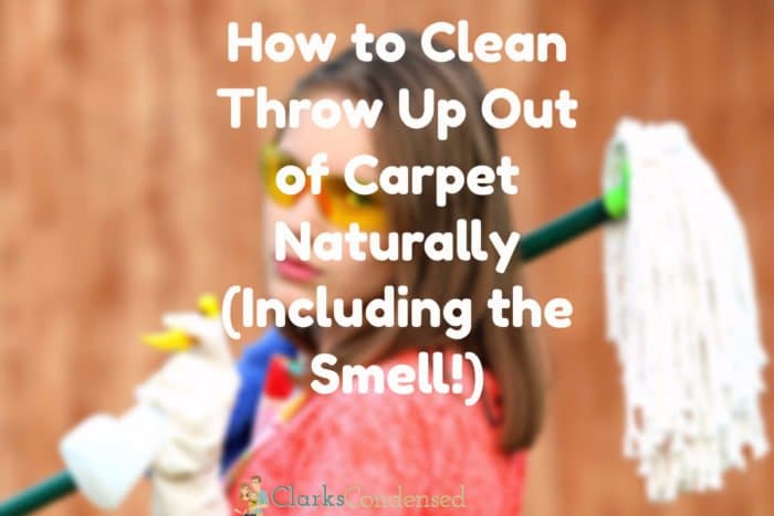 clean up vomit from carpet / clean vomit smell out of carpet / clean throw up out of carpet