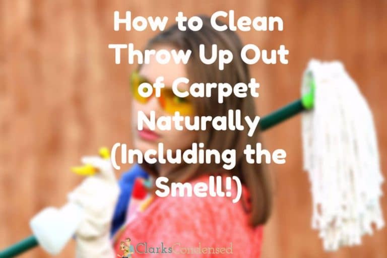 How to Clean Throw Up Out of Carpet Naturally (Including the Smell