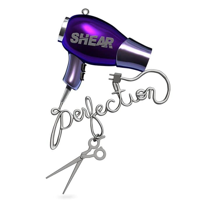 Hair dryer