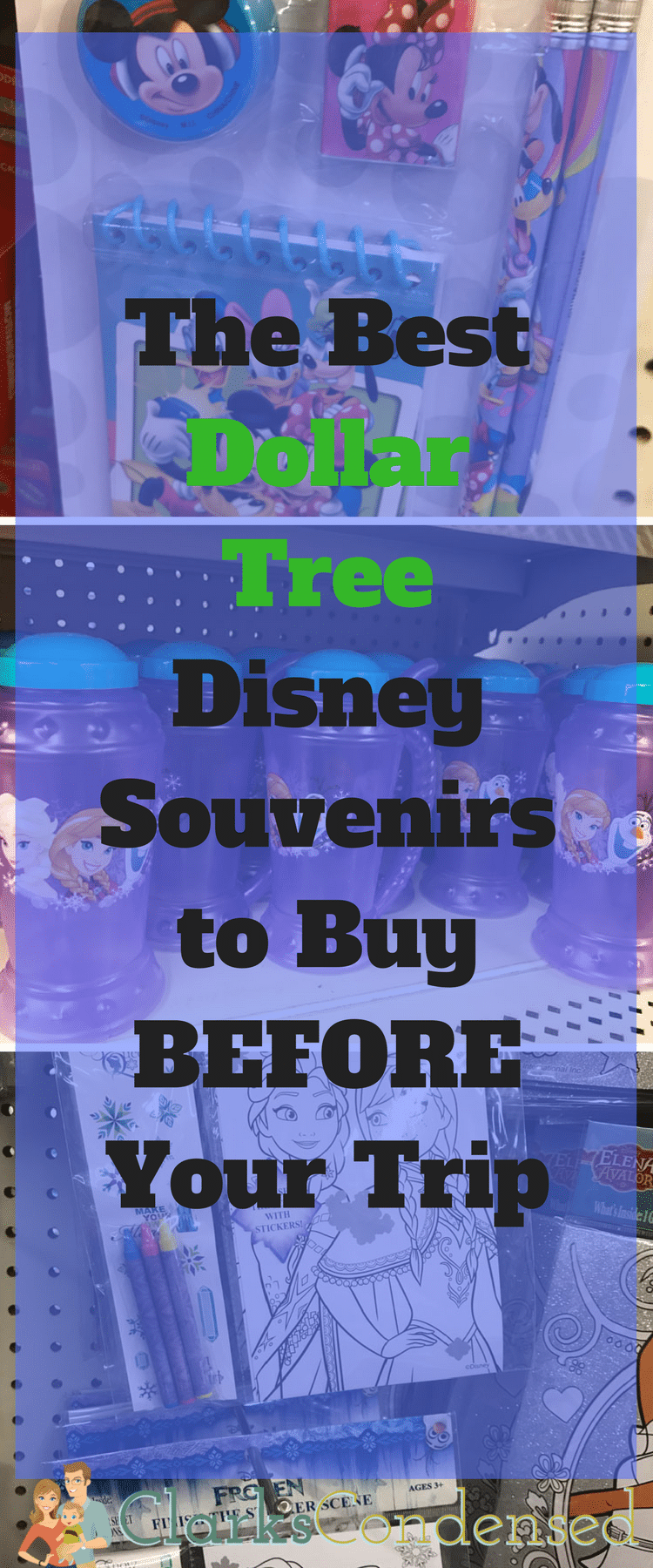 Dollar Tree / Dollar Tree Disney / Disneyland / Disney Souvenirs / Dollar Tree Products