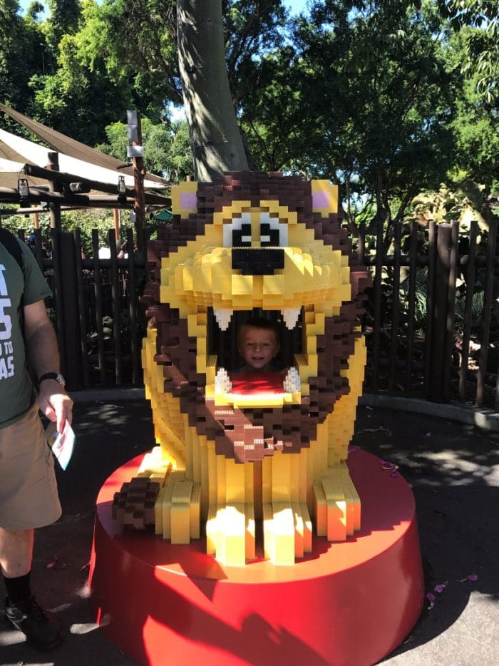 little boy at legoland