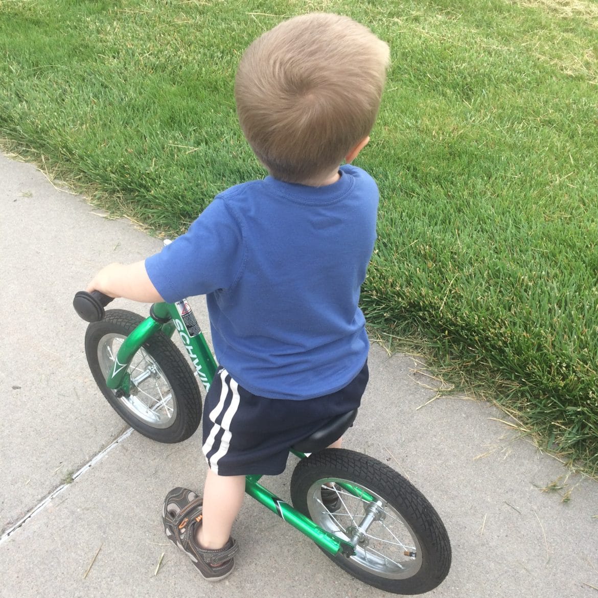 schwinn balance bike