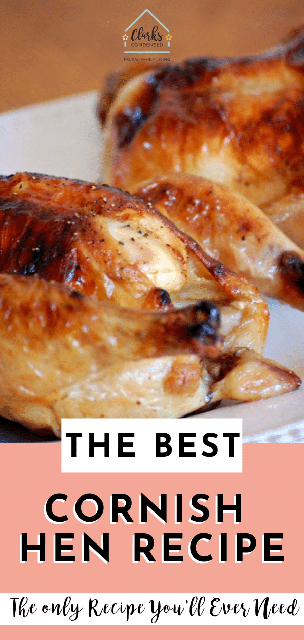 Cornish game hens are an excellent option for a fancy dinner, Thanksgiving, or just for fun. Here is the only baked cornish game hen recipe you need! Cornish game hen / easy cornish game hens / Cornish game hen brine via @clarkscondensed