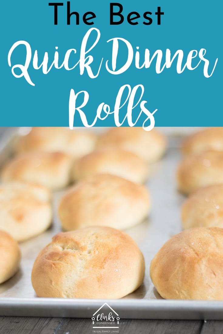 The BEST Quick Dinner Rolls Recipe Ready in less than an hour