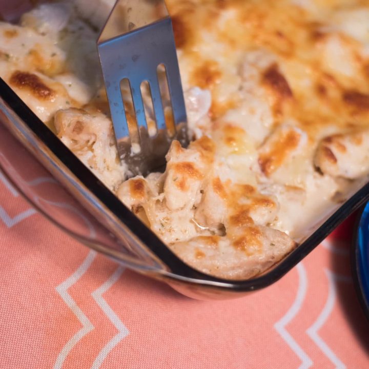 Easy Chicken Alfredo Lasagna