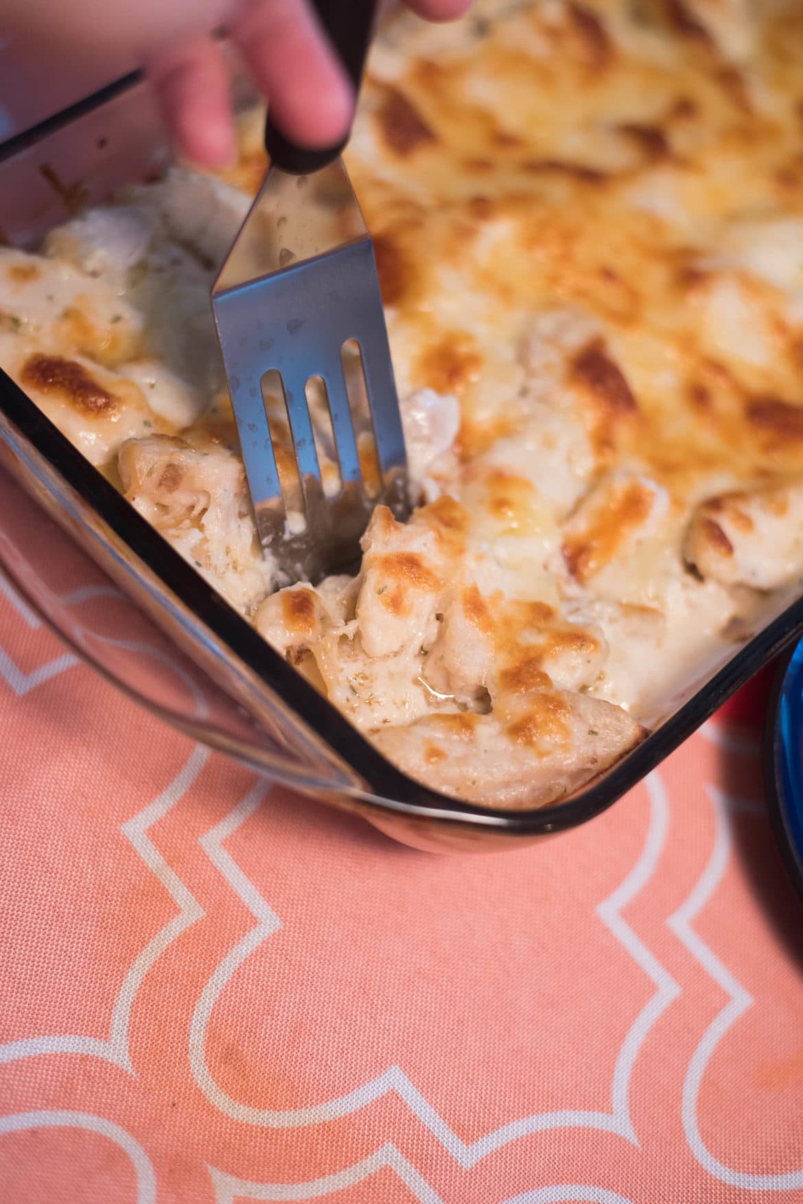 Easy Chicken Lasagna with Alfredo
