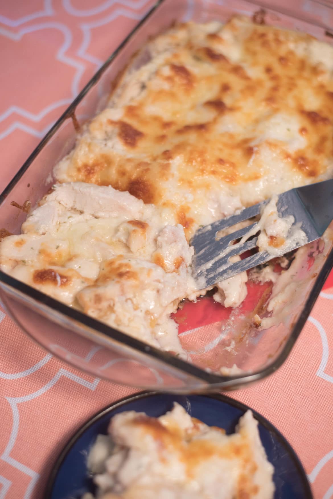 Chicken alfredo lasagna