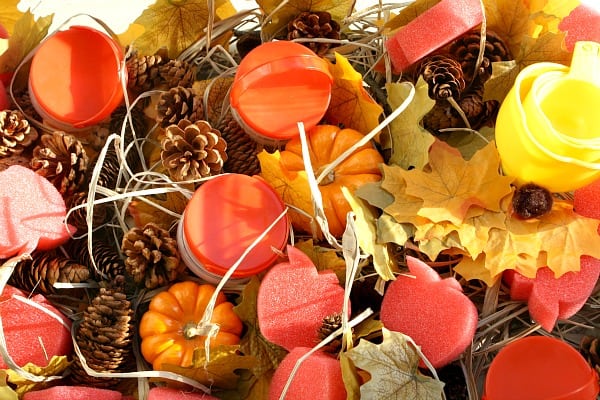 A bowl of fruit on a table, with Autumn