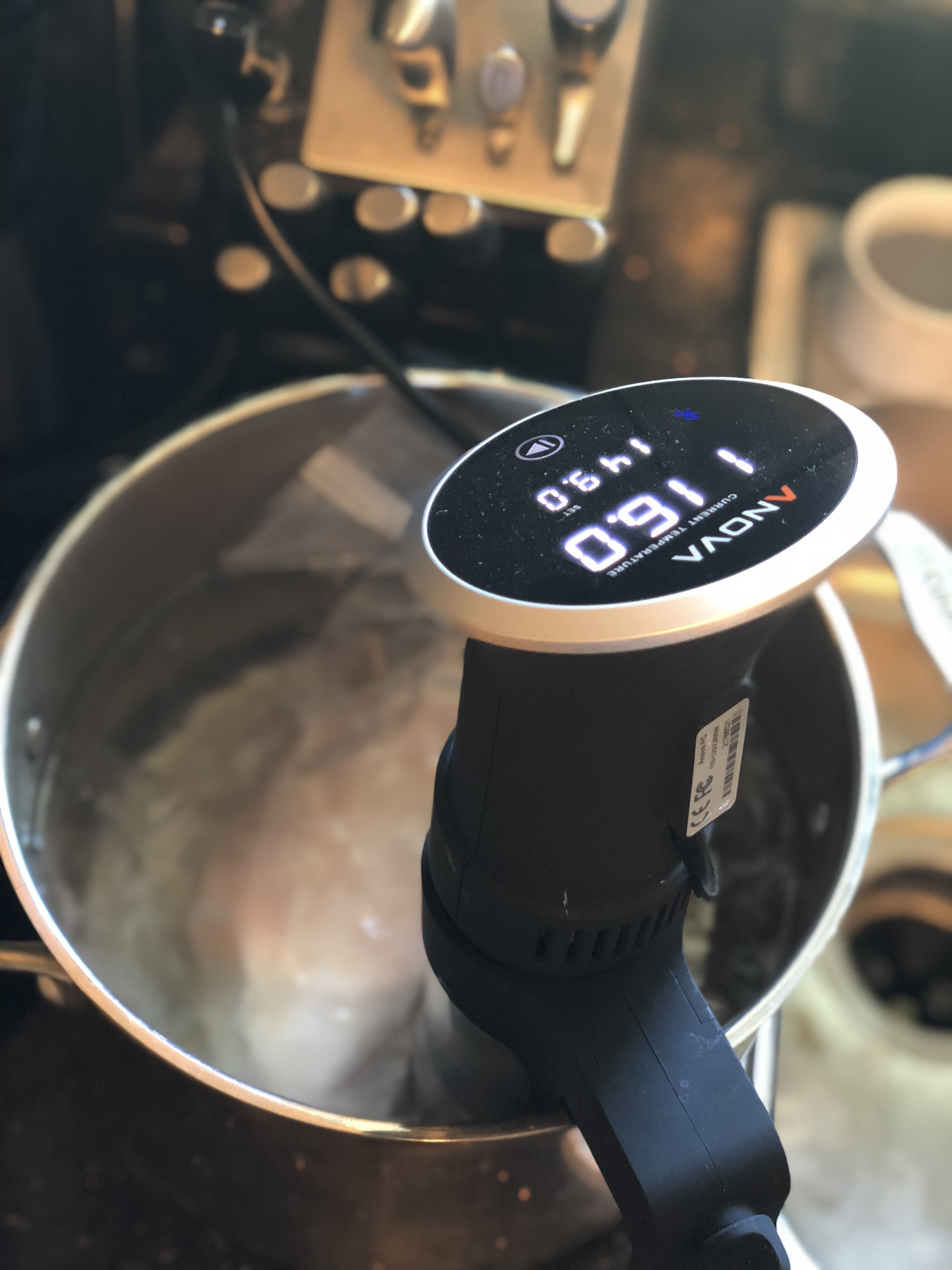 Sous Vide Chicken Breasts