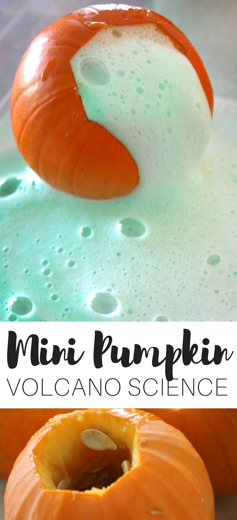 mini pumpkin volcano