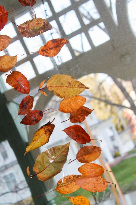 leaves hanging on string