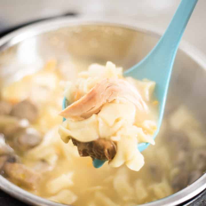 Instant Pot Chicken Noodle Soup