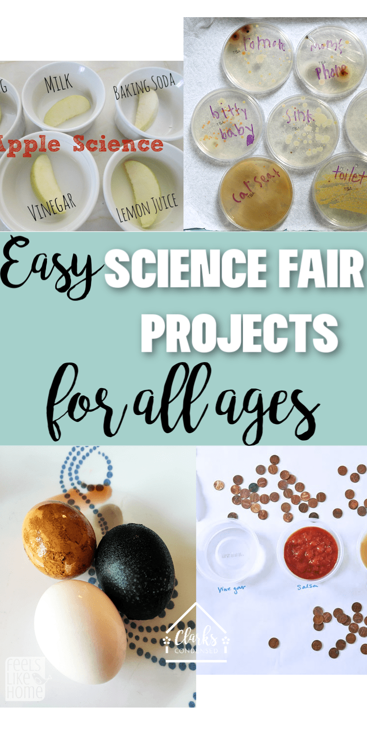 Science Fair Project Ideas