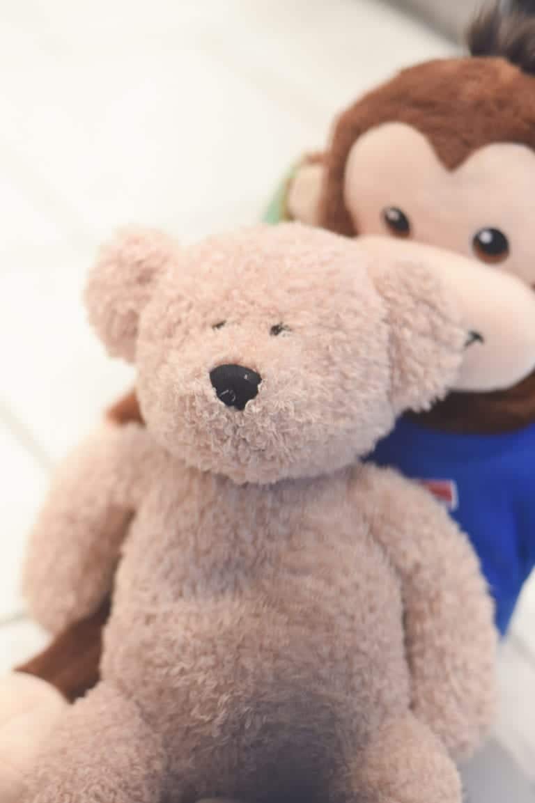 How to Clean Stuffed Animals in Washing Machine 2024 Clarks Condensed