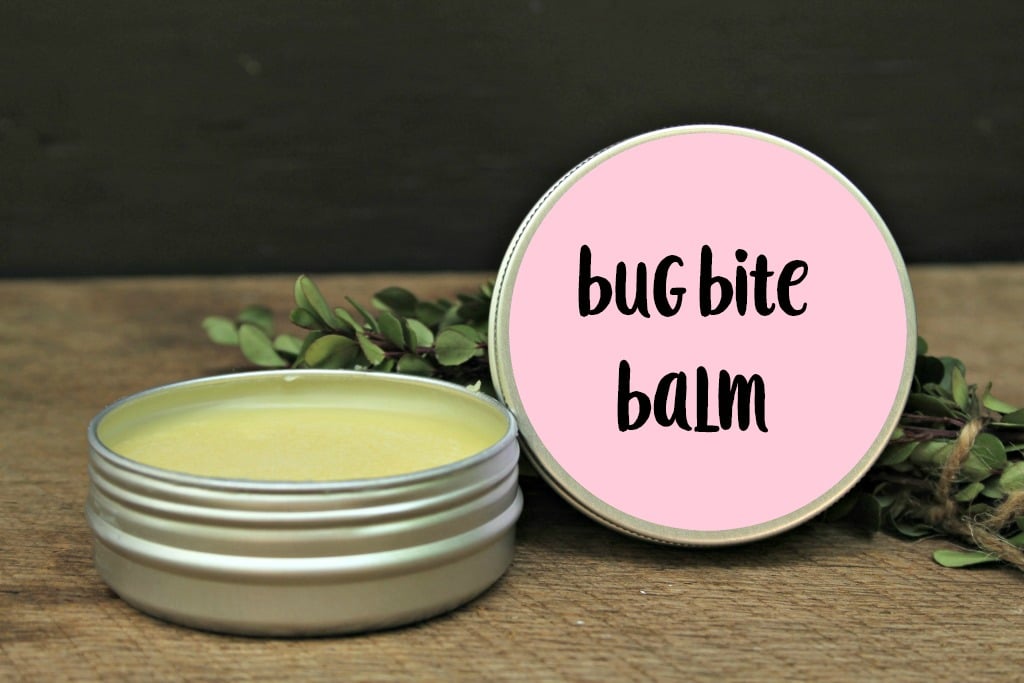 Homemade Anti-Itch Cream – for Bug Bites and More!