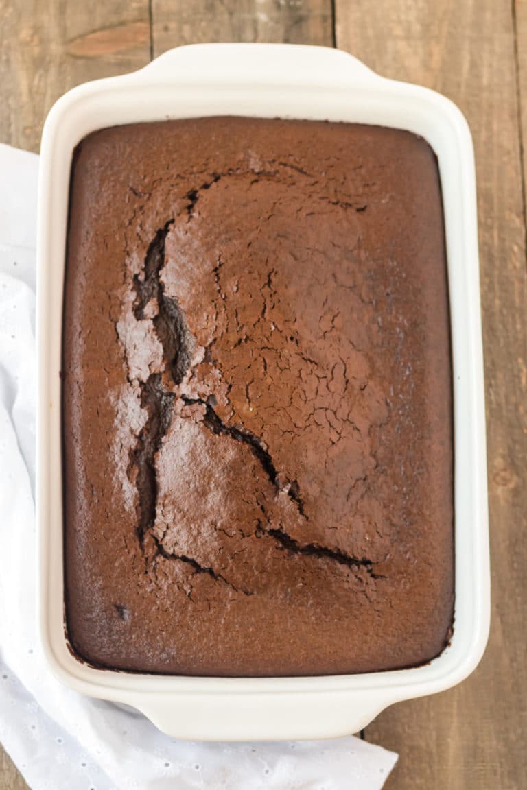 The World's Best Chocolate Cake Recipe The World's Best Chocolate Cake Recipe