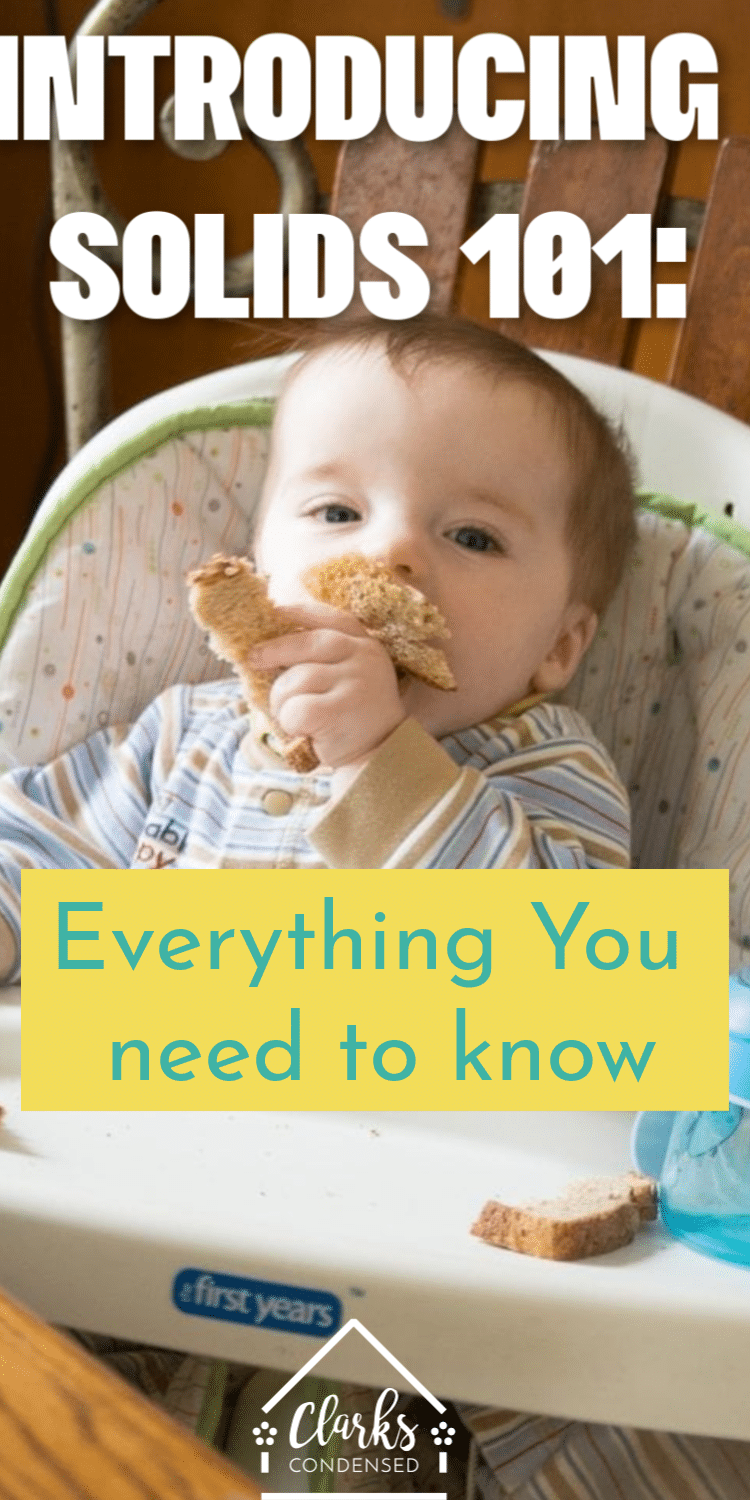 Introducing Solids to Baby 