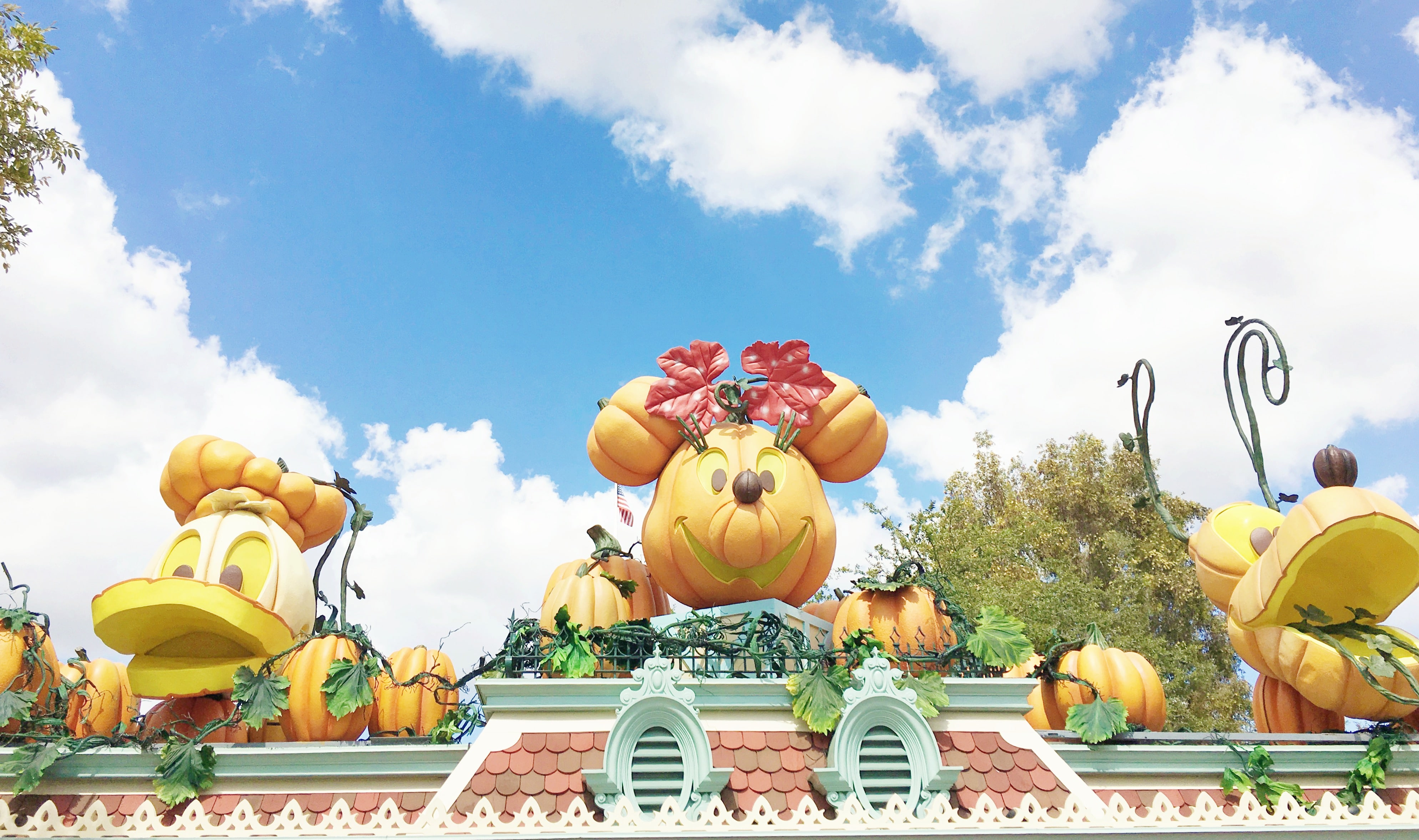 minnie pumpkin at disneyland