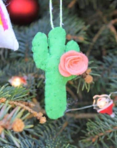 Cactus DIY Ornament