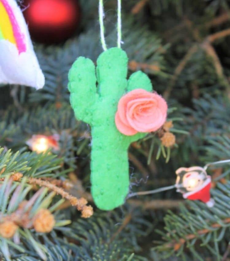 Cactus DIY Ornament