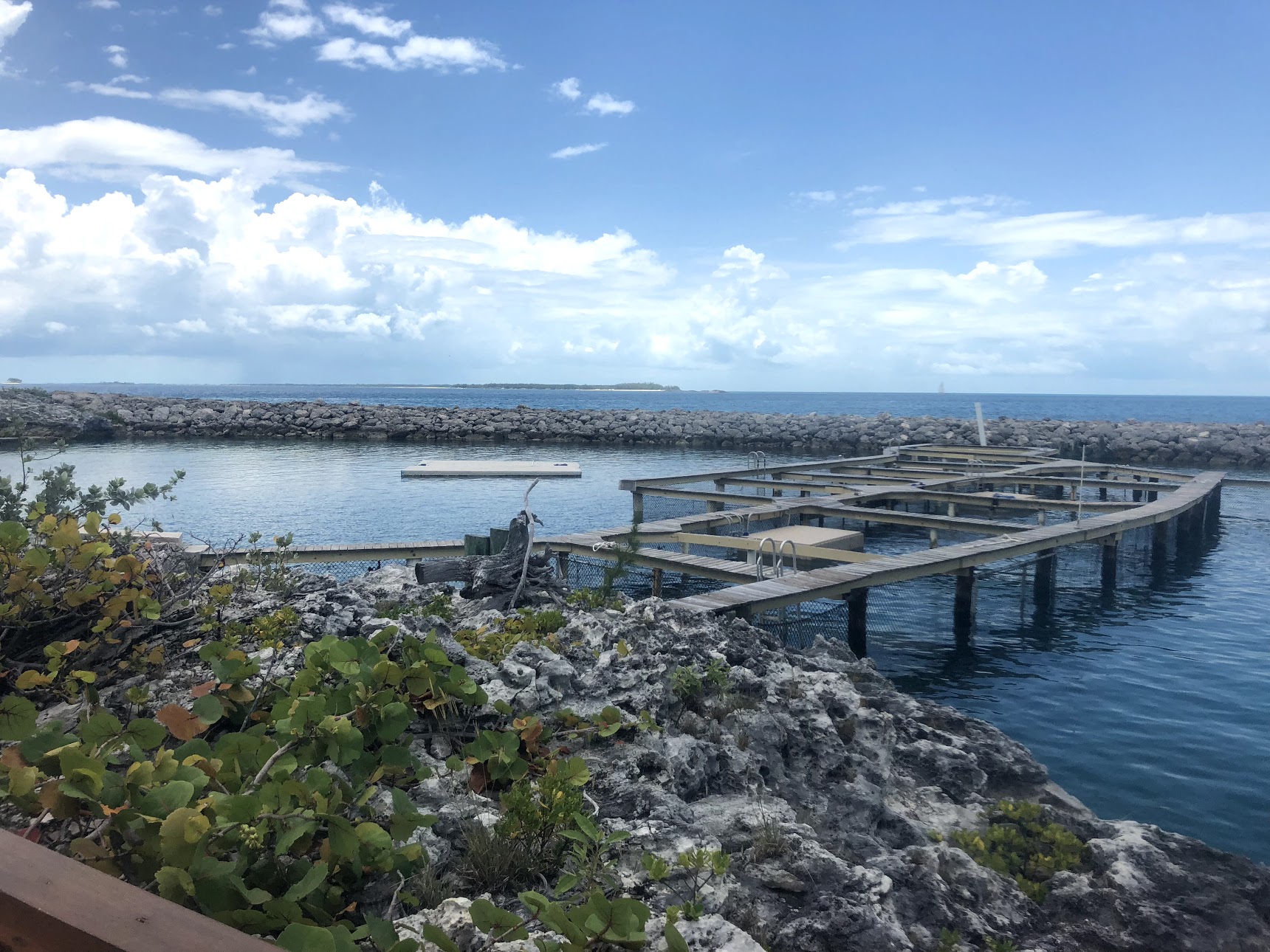 A large body of water and a deck