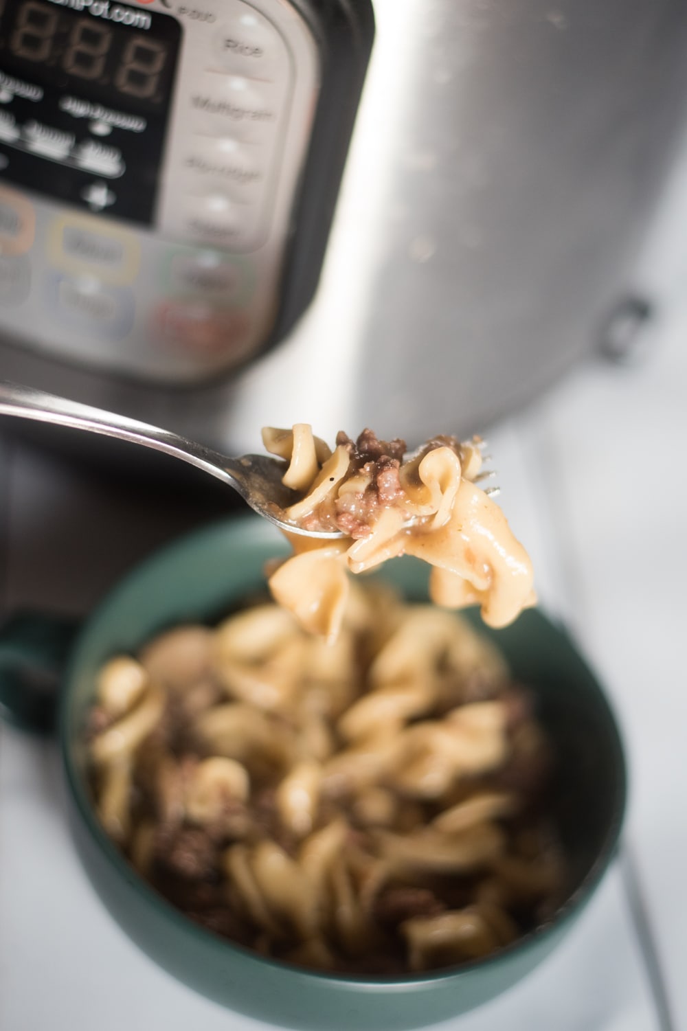 A close up of a plate of food, with Beef Stroganoff and Pasta