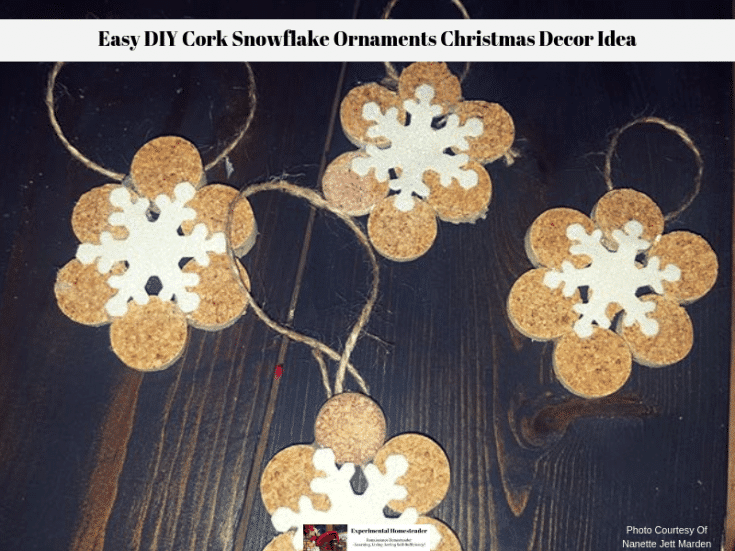 Easy DIY Snowflake Christmas Ornament – Simply Southern Mom