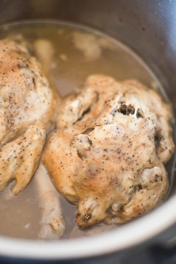 instant pot cornish game hen