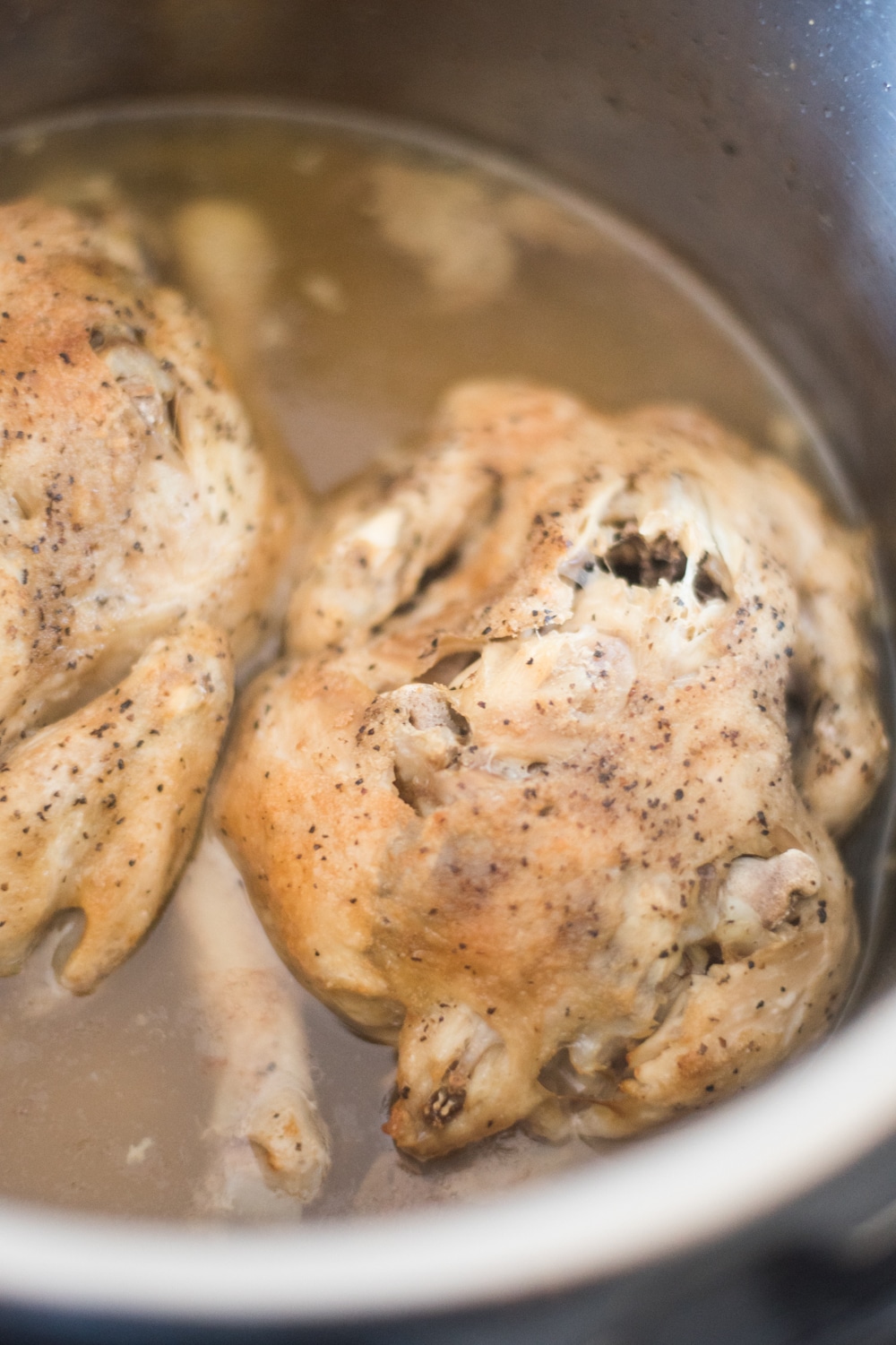 Instant Pot Cornish Game Hen Recipe Clarks Condensed