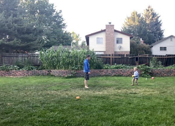 Playing in front of garden