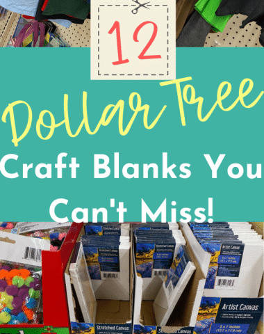 Craft Blanks You Can't miss pin