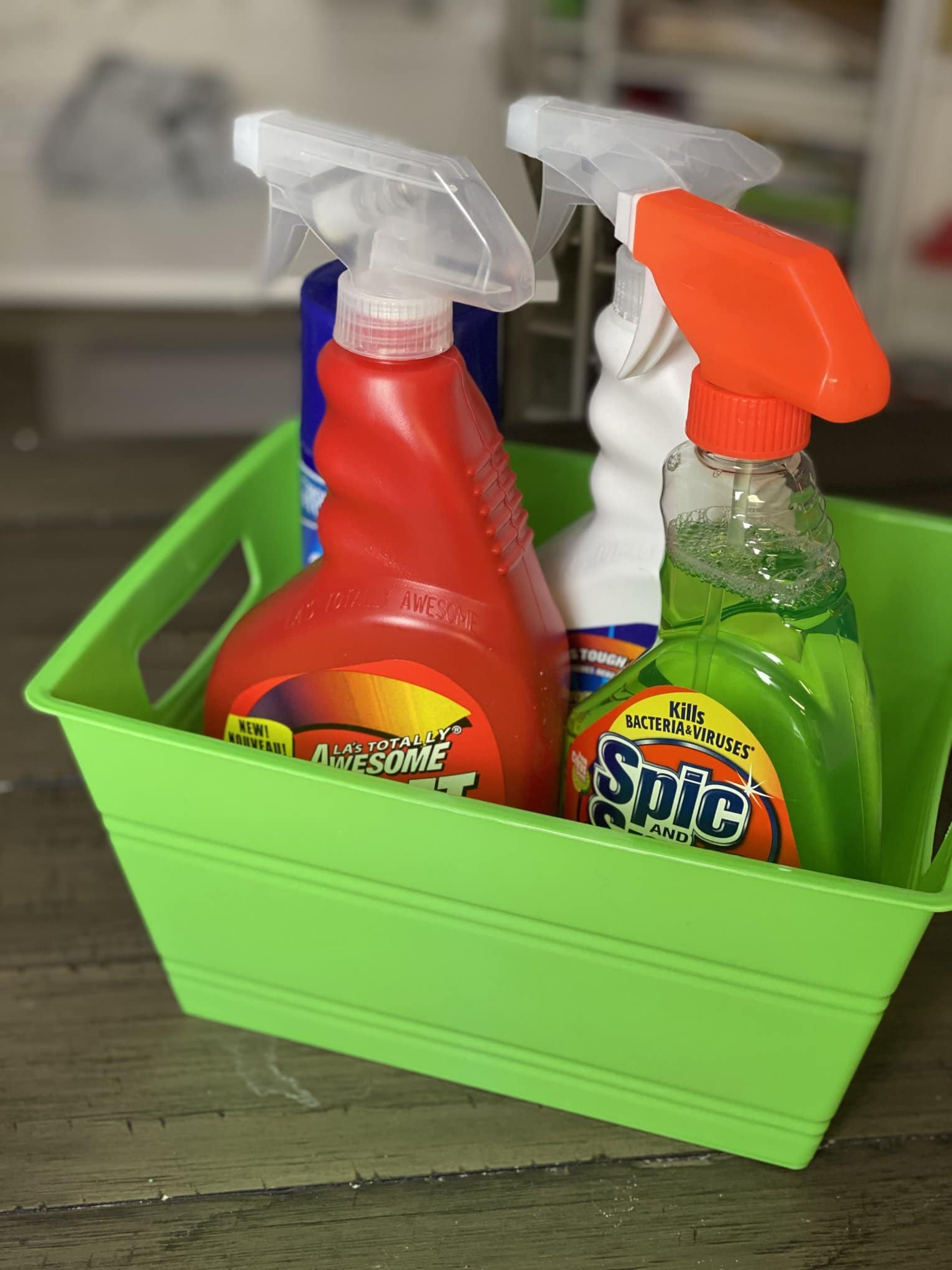 BATHROOM CLEANING, DOLLAR TREE PRODUCTS