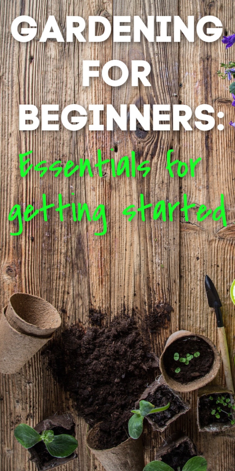 Gardening for Beginners