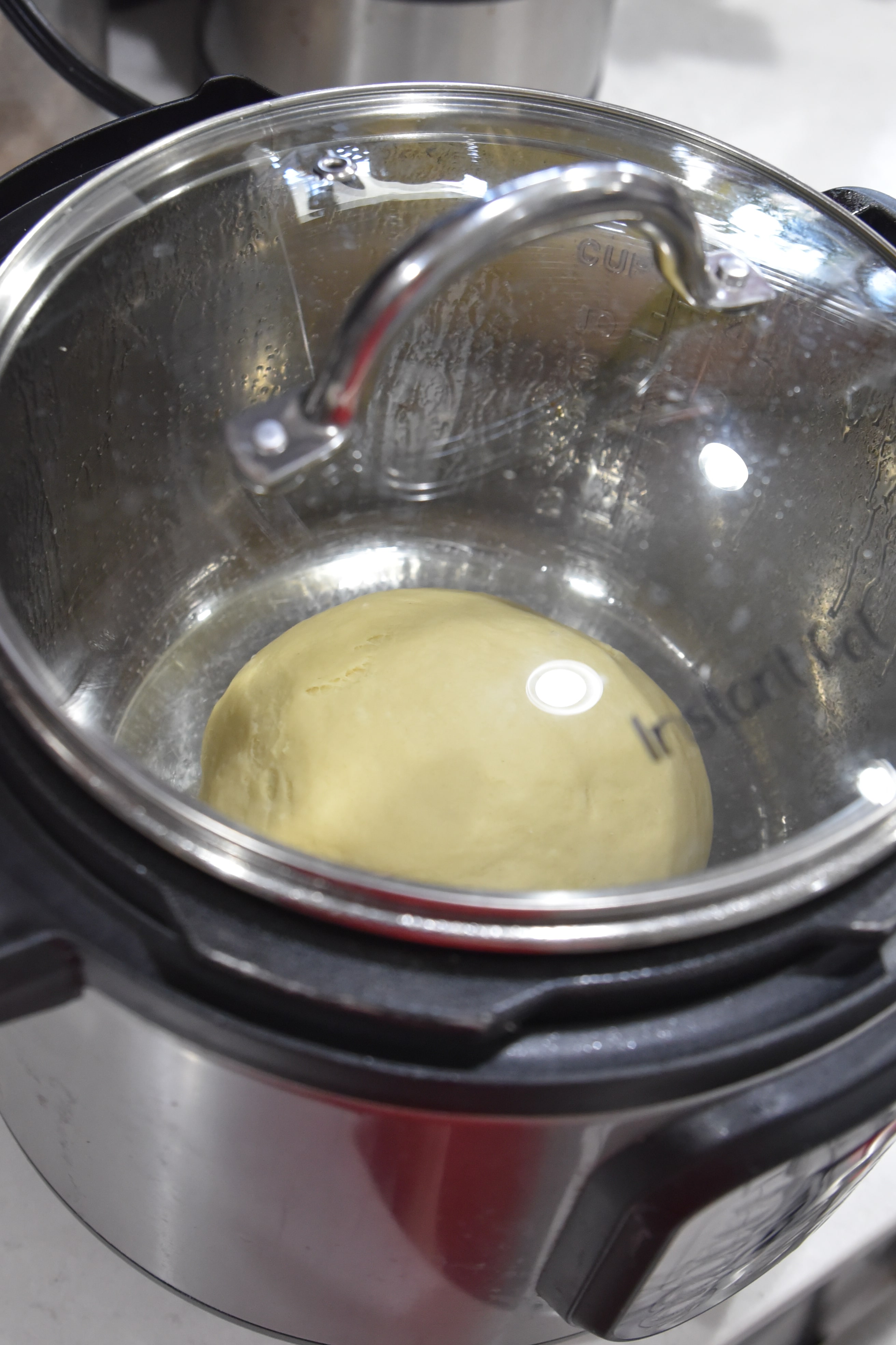 instant pot dough rising 