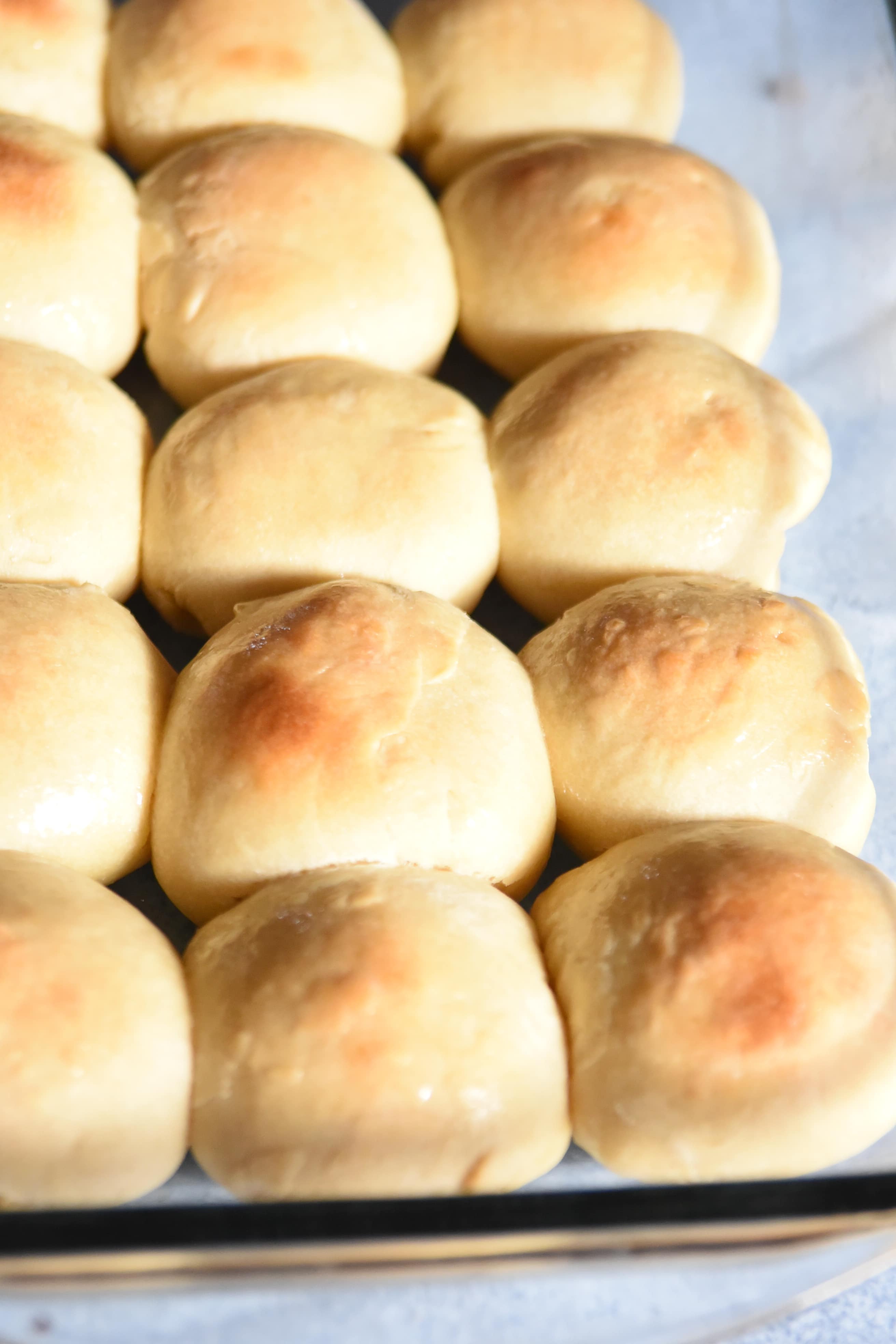 sourdough dinner rolls