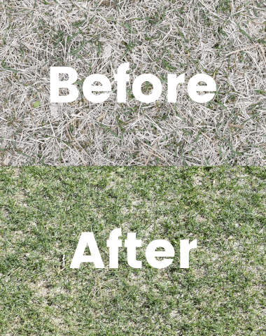 before and after of sunday lawn care