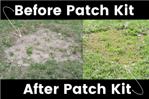 Sunday Lawn Care old patch new patch