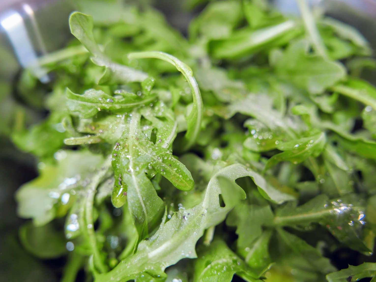 closeup of arugula