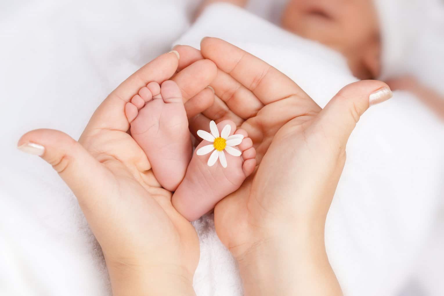 little girl feet with flower