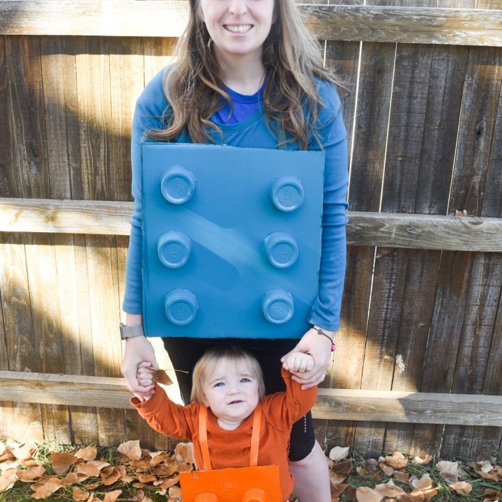 DIY LEGO COSTUME