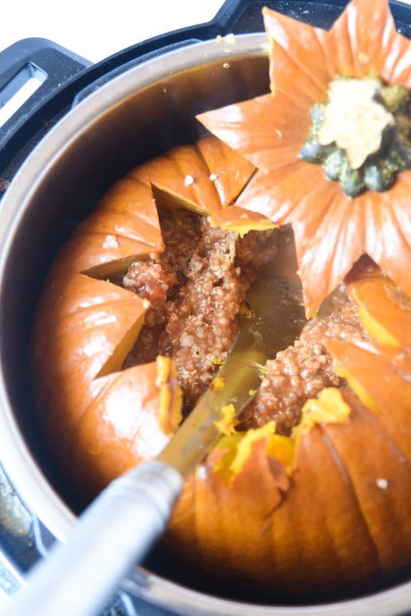 Instant Pot Stuffed Dinner in a Pumpkin 2024 Clarks Condensed