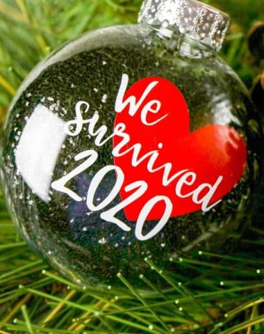 DIY We Survived 2020 Ornament