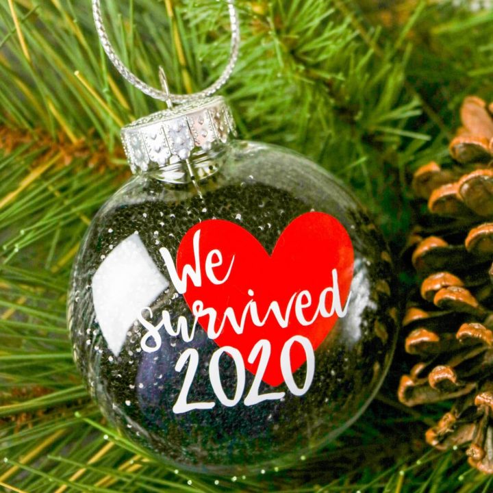 We Survived 2020 Ornament-3