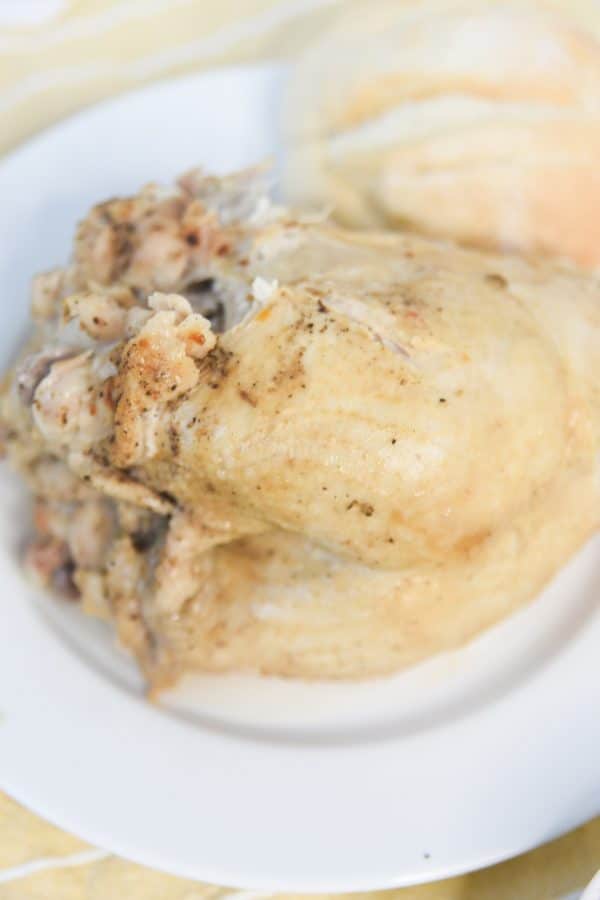 instant pot turkey breast