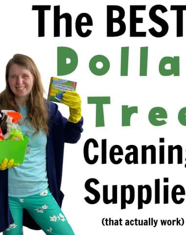 dollar tree cleaning products